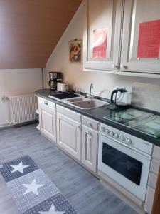 een keuken met een wastafel en een fornuis top oven bij Apartment Lulu in Aurich