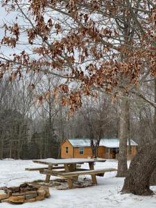 Cabin with a tree house on a buffalo farm . om vinteren