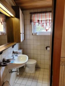 a bathroom with a sink and a toilet at Ferienwohnung Max in Mürzzuschlag