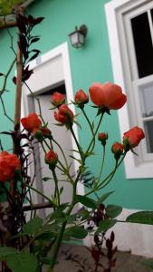 un montón de flores rojas delante de una puerta en Pousada Villa de Cananea, en Cananéia