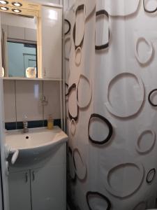 La salle de bains est pourvue d'un lavabo et d'un rideau de douche. dans l'établissement Vikendica RTANJ, à Rtanj