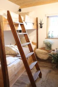 a bunk bed in a room with a ladder at Linne-Cottage in Willingen