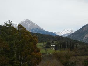 Imagen de la galería de Elatos Apartments, en Klitoría