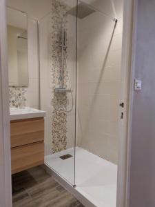 a shower with a glass door in a bathroom at Le Bullière 60m2 plein centre! in Rodez