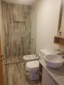 a bathroom with a shower and a toilet and a sink at Ayres de nieva dtos in San Salvador de Jujuy