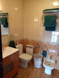 a bathroom with a toilet and a sink at Sandino 32 in Santiago de Compostela