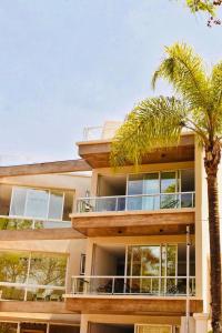 a building with a palm tree in front of it at Ayres de nieva dtos in San Salvador de Jujuy