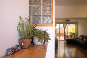 uma sala de estar com dois vasos de plantas num piso de madeira em Cosy Family Home & Garden in Eilat em Eilat