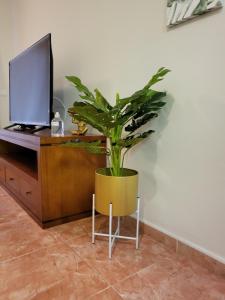A television and/or entertainment centre at Apartamento exótico en primera línea de Vera-Playa!
