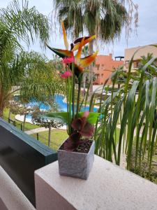 A garden outside Apartamento exótico en primera línea de Vera-Playa!