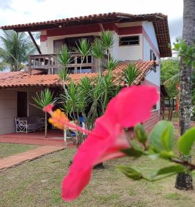a house with a pink flower in front of it at Feriasmares in Ilhéus