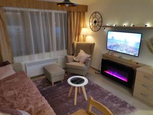 ein Wohnzimmer mit einem Sofa und einem TV in der Unterkunft Apartman N101, Milmari, Kopaonik in Kopaonik