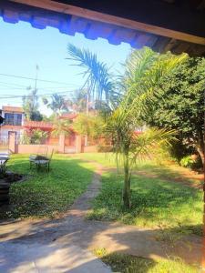 un parque con un banco y una palmera en Alojamiento Santino, en Cataratas del Iguazu en Puerto Iguazú