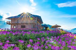 um campo de flores roxas em frente a um edifício em Mu Cang Chai Big view homestay em Sung Lu Chay