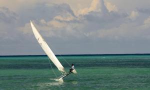 Windsurfing v rezortu nebo okolí