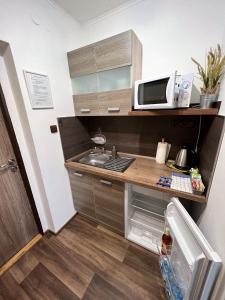 Kuchnia lub aneks kuchenny w obiekcie Apartmány Karlovy Vary