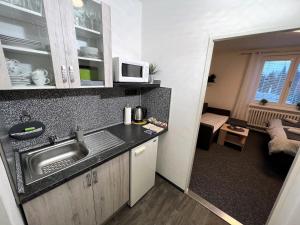 Kuchnia lub aneks kuchenny w obiekcie Apartmány Karlovy Vary