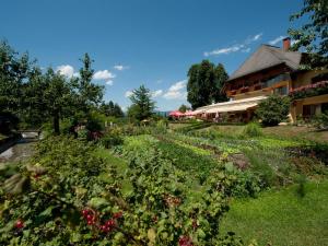 Zahrada ubytování Hotel Zollner