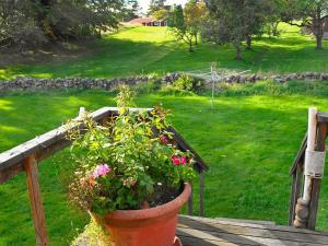Zahrada ubytování 6 person holiday home in ASKERÖN-By Traum