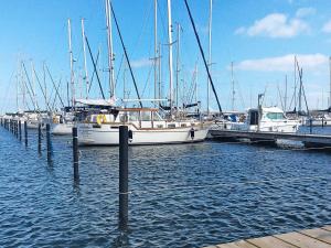 Naturlandskabet i nærheden af feriehuset
