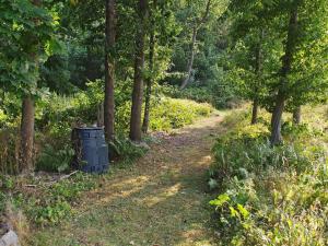 a dirt road in a forest with a trash can at 11 person holiday home in S LVESBORG in Hällevik