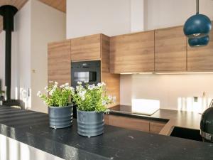 deux plantes en pot assises sur un comptoir dans une cuisine dans l'établissement 8 person holiday home in L s, à Læsø