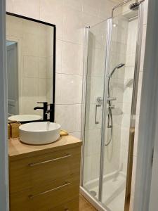 La salle de bains est pourvue d'un lavabo et d'une douche en verre. dans l'établissement Studio cosy à 15min de Paris, à Antony