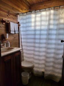 a bathroom with a toilet and a shower curtain at Private Mountaintop Cabin in Carara Biological Corridor 20 minutes to beaches in Carara