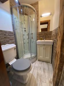 a bathroom with a shower and a toilet and a sink at Eco-friendly Dorset cottage with spa set in heart of countryside in Sydling St Nicholas