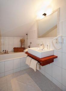 Vannituba majutusasutuses Hotel zum Goldenen Löwen