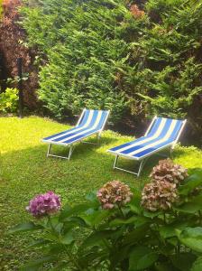 Zahrada ubytování B&B Abano Garden