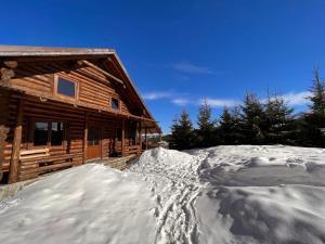 a pile of snow next to a log cabin at Cabana Lupilor in Tău Bistra +22 photos
