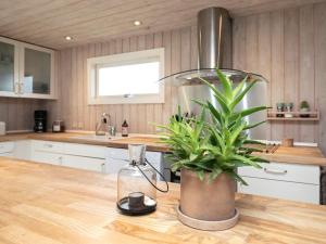 una cucina con una pianta in vaso su un bancone di 12 person holiday home in L kken a Løkken
