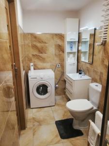 a bathroom with a washing machine and a toilet at Suwałki Centrum Apartments 1 & 2 in Suwałki