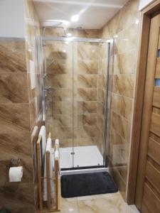 a shower with a glass door in a bathroom at Suwałki Centrum Apartments 1 & 2 in Suwałki