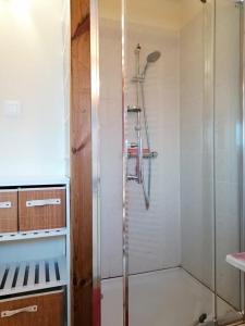 a shower with a glass door in a bathroom at Gîte La Bodib in Fabras +16 photos