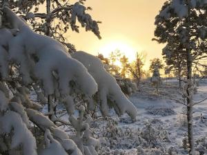 15 person holiday home in Treungen under vintern