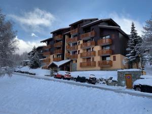 un gran edificio de apartamentos con coches aparcados en la nieve en Studio Plagne Montalbert Départ Skis aux pieds, en Montalbert