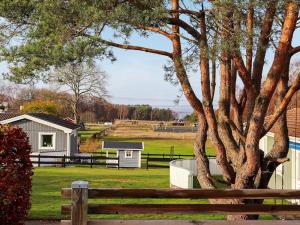 a wooden fence next to a tree and ashed at 5 person holiday home in V r backa in Väröbacka