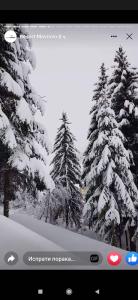 Mavrovo Forest Apartments talvel