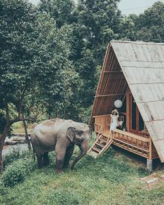 an elephant standing in the grass next to a house at Chai Lai Orchid in Chiang Mai