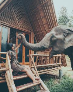 Eine Frau, die auf einem Stuhl mit einem Elefantenkoffer sitzt. in der Unterkunft Chai Lai Orchid in Chiang Mai