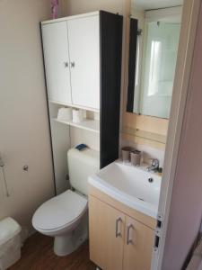 a bathroom with a toilet and a sink and a mirror at Grand Mobil home 3chbr 2sdb camping La Carabasse in Vias