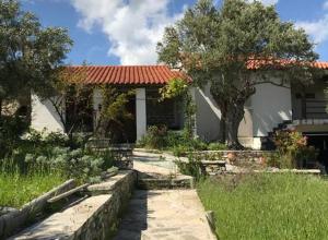 Zahrada ubytování KALIVI Traditional Olive Farm Guest House