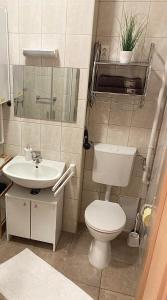 małą łazienkę z toaletą i umywalką w obiekcie Jade Apartman w Hévízie