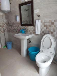 ein Badezimmer mit Toilette, Waschbecken und Spiegel in der Unterkunft Dalhousie Heritage Cottage in Nainital