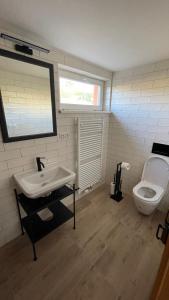 a bathroom with a sink and a toilet at Penzion Pod Devítkou in Hřensko