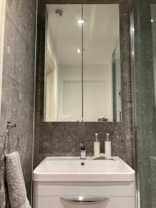 uma casa de banho com um lavatório branco e um espelho. em Olive Tree Apartment Hove em Brighton & Hove