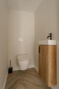 łazienka z toaletą i umywalką w obiekcie De Dommelhoeve w mieście Peer