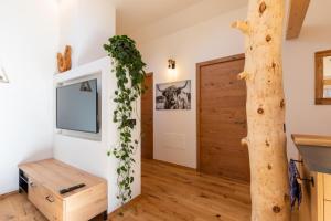 a living room with a tv and a tree at Appartments zum Beck in Eggen